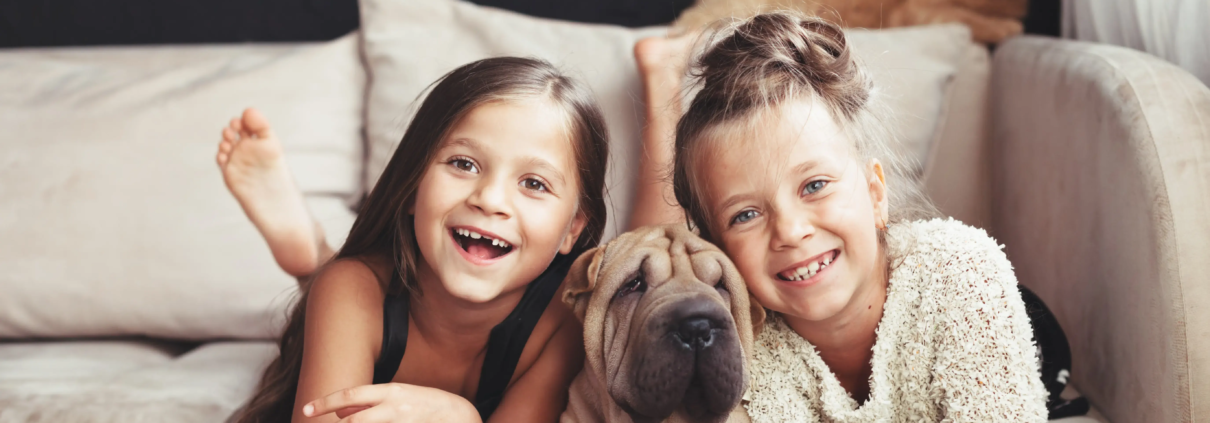 Gas Fireplace Safety for Children and Pets